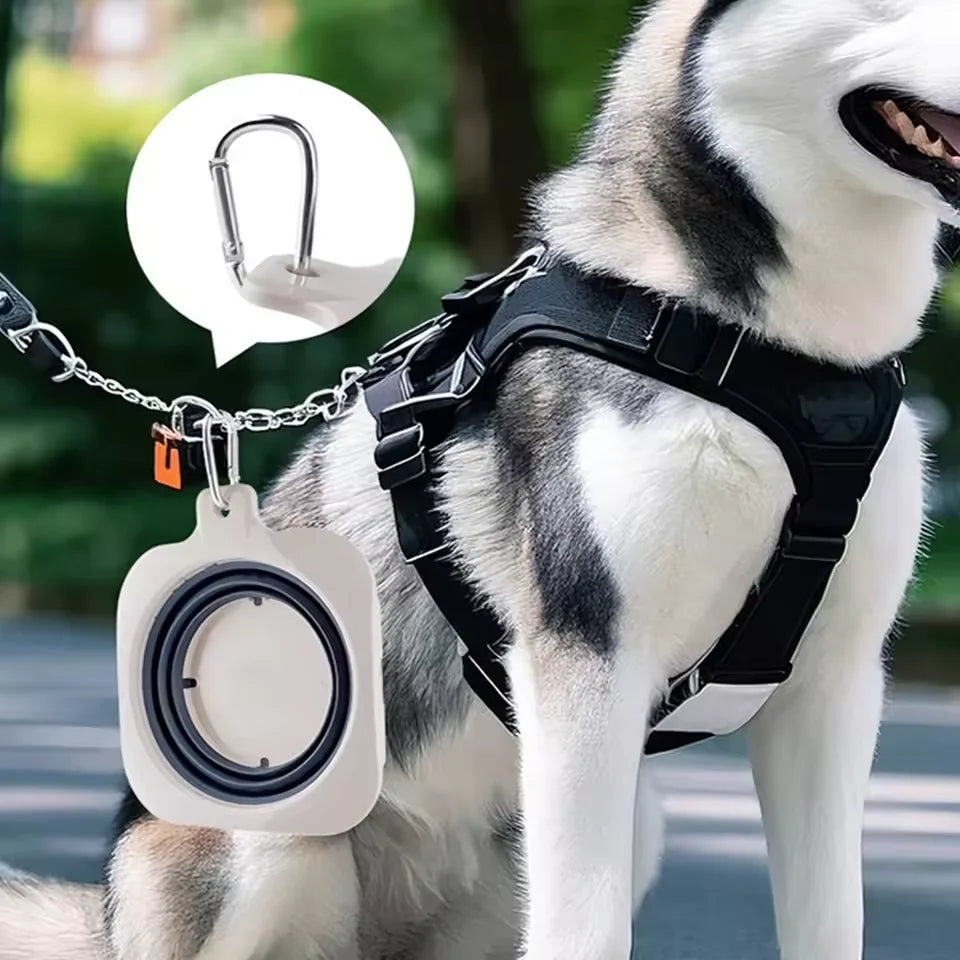 Foldable Double Dog Travel Bowls