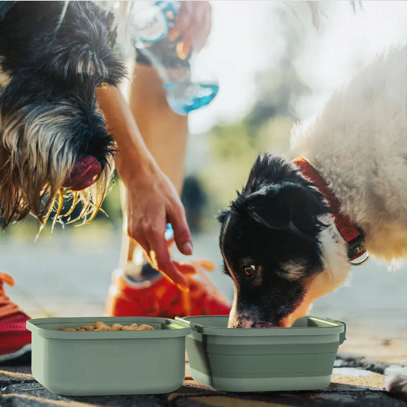 Khaki Portable Double Dog Travel Bowls