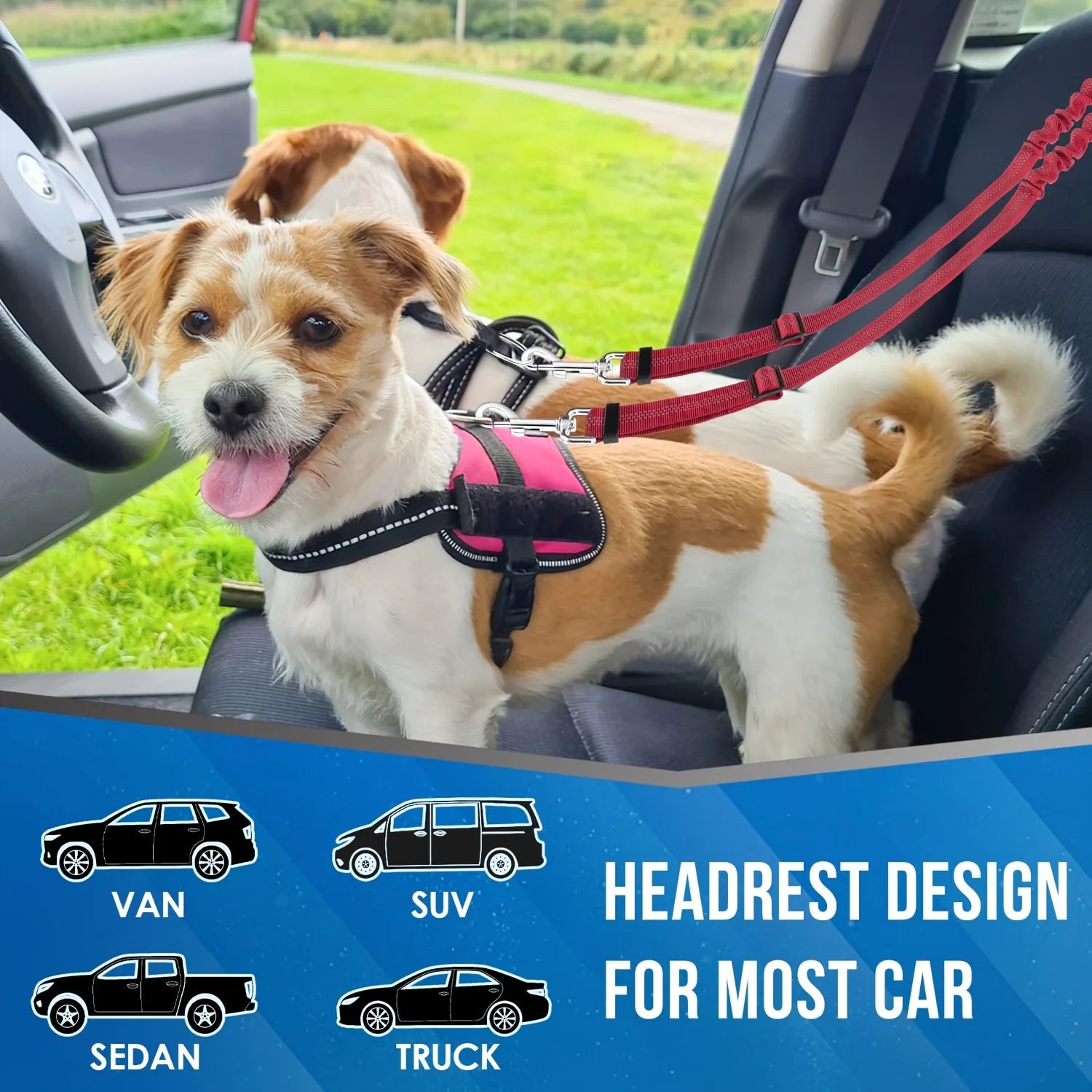Black Dog Car Seat Belt for Two Dogs