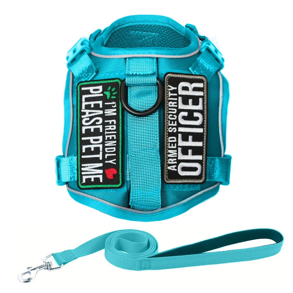 Sky Blue Tactical Dog Harness for Small Dogs with Leash