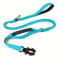 Sky Blue Tactical Dog Leash with Car Seatbelt
