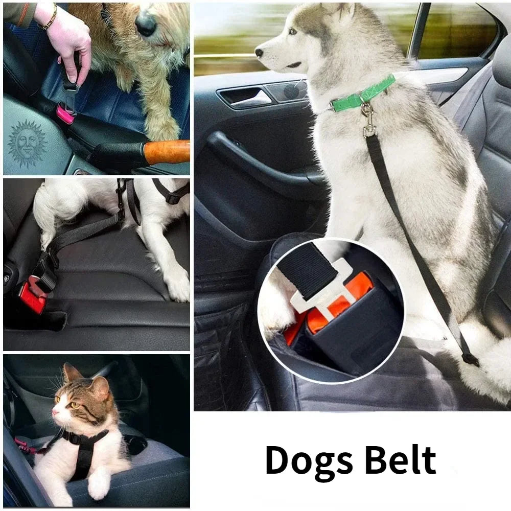 Purple Adjustable Dog Car Seat Belt Tether