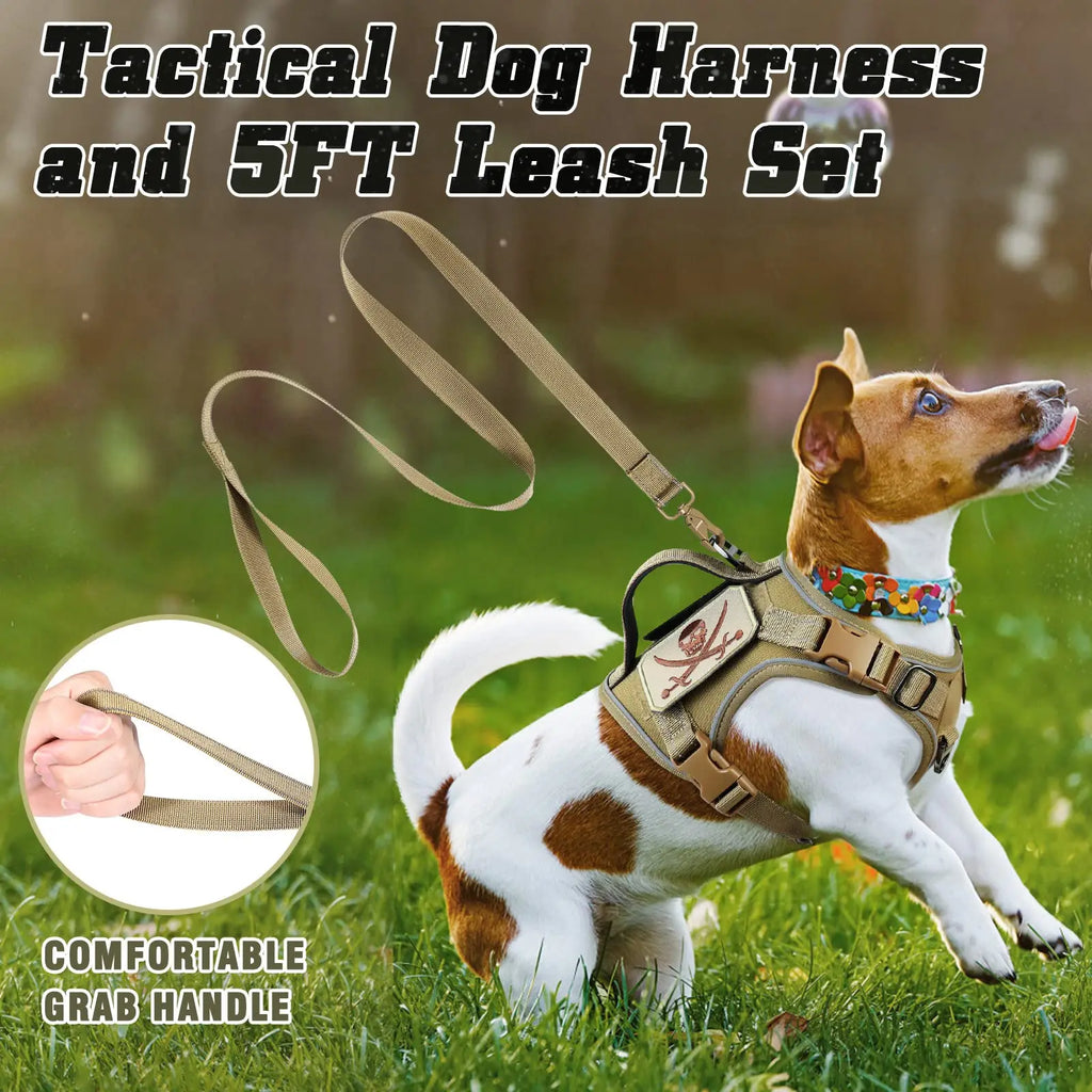 Black Tactical Dog Harness for Small Dogs
