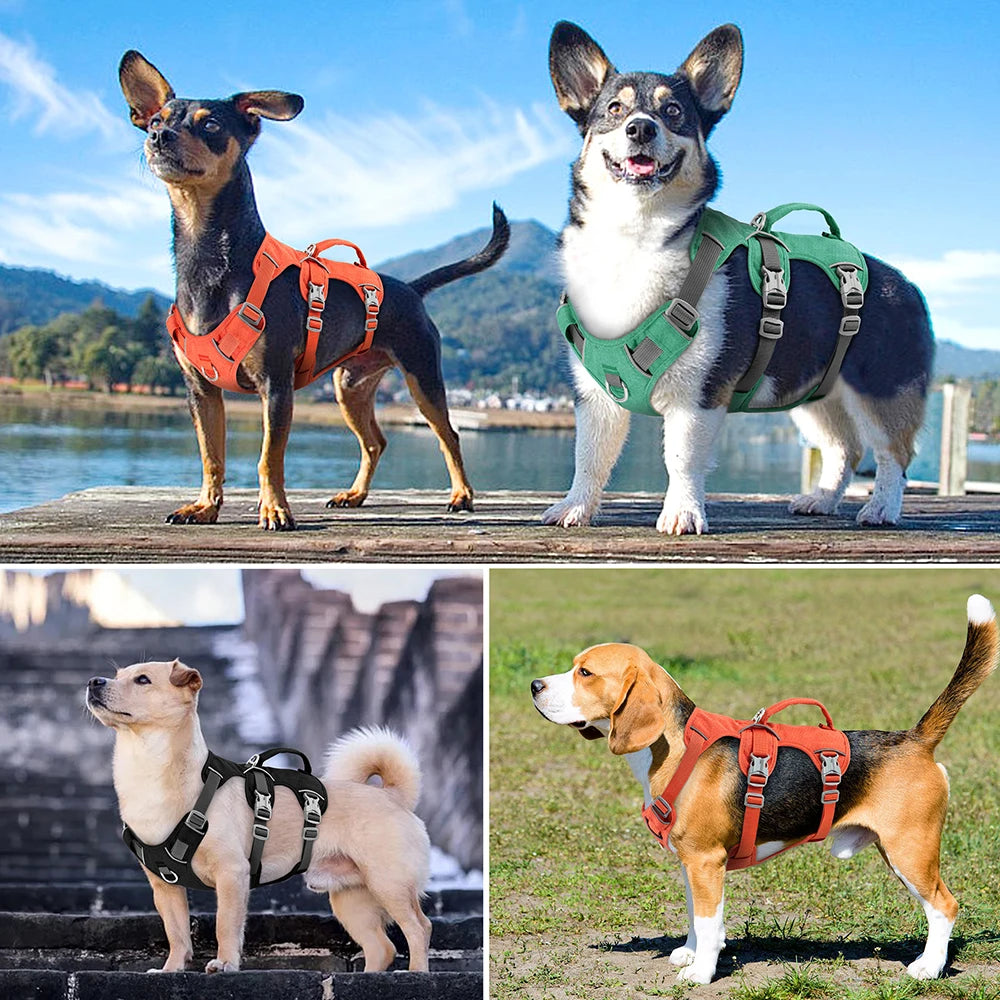 Green Escape Proof Reflective Dog Harness for Small, Medium, and Large Dogs