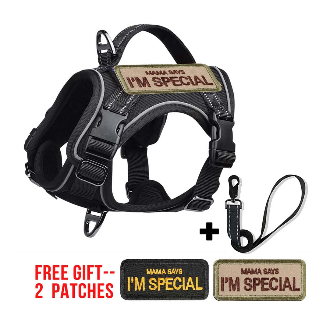 Black Tactical Dog Harness for Small Dogs with Leash