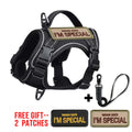 Black Tactical Dog Harness for Small Dogs with Leash
