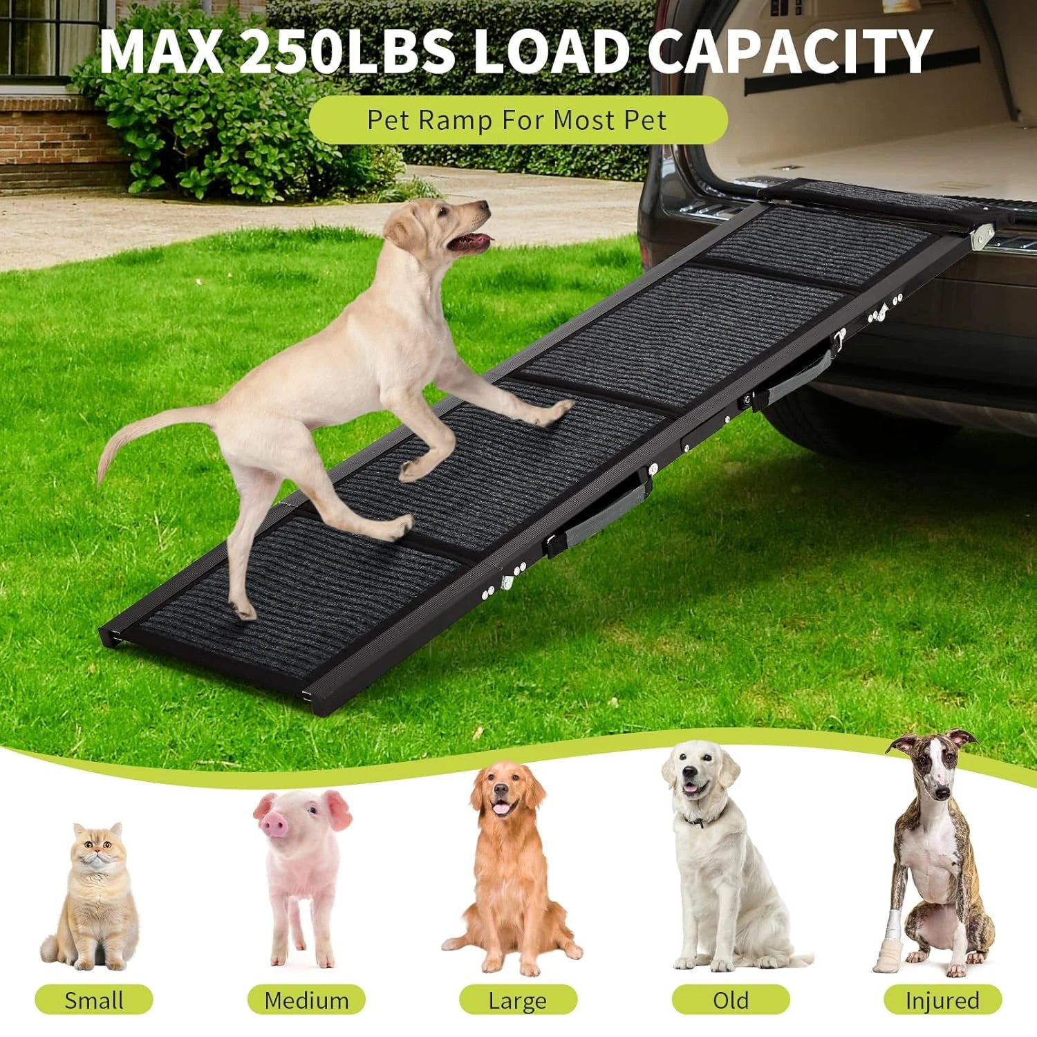 Dog Ramp for Cars for Large Dogs – Folding Non-Slip Portable Pet Ramp Up to 250 lbs