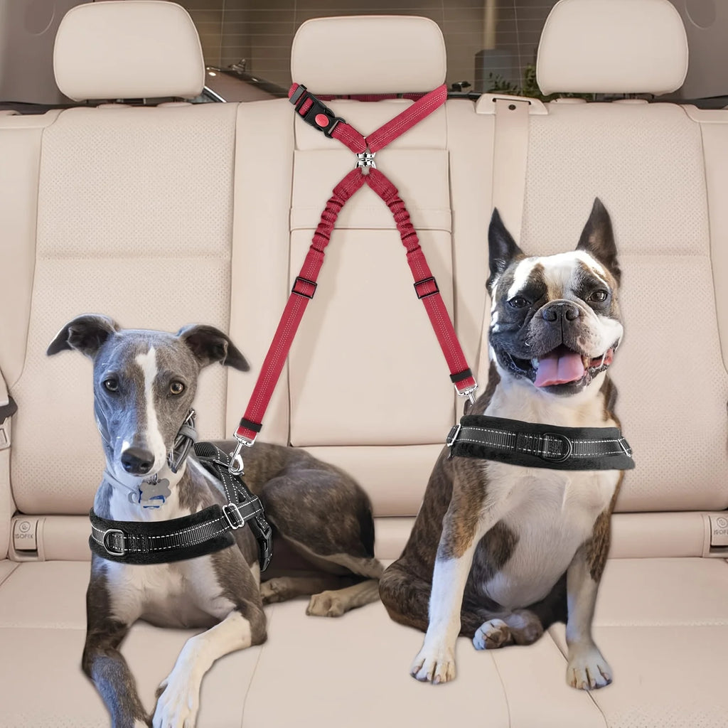 Black Dog Car Seat Belt for Two Dogs