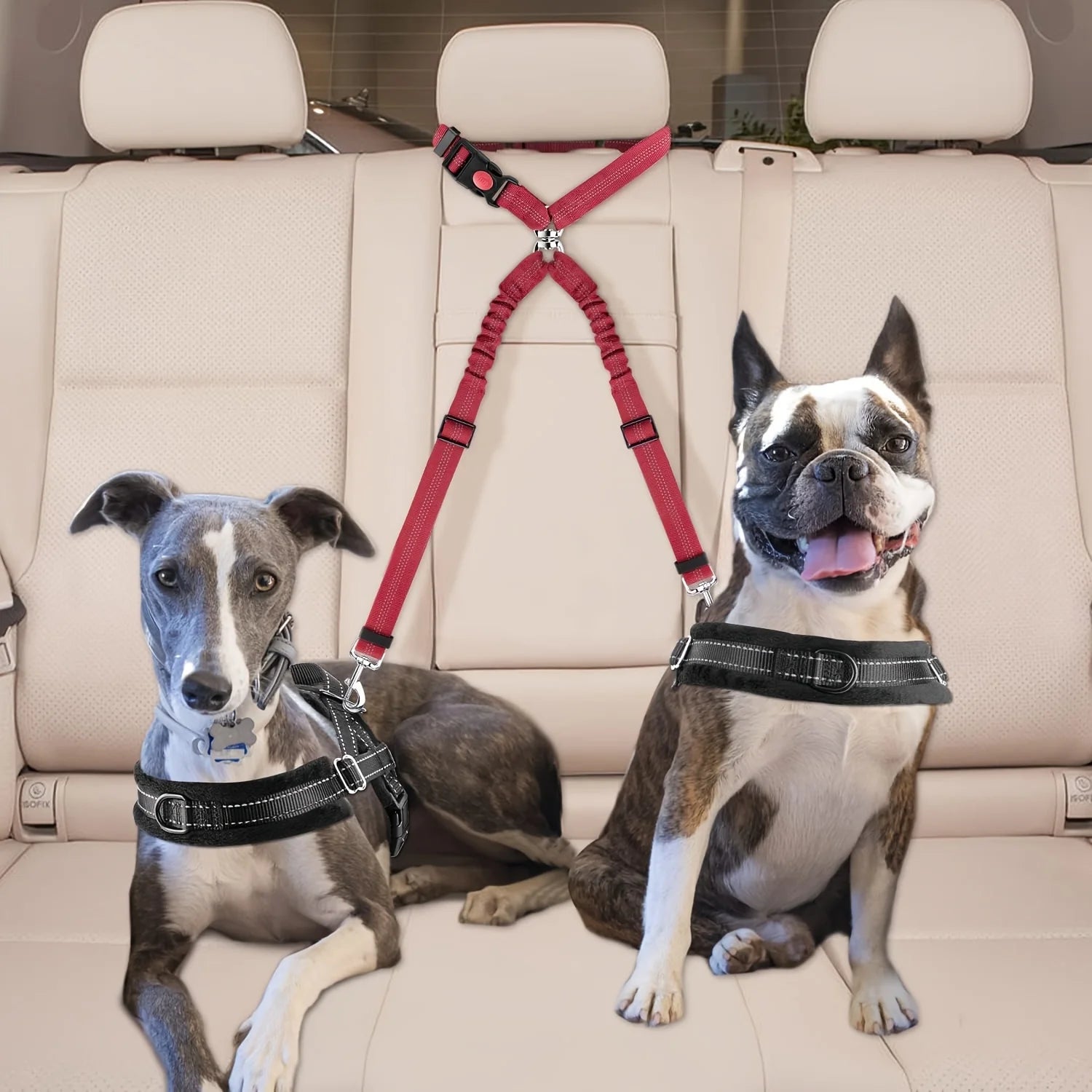 Red Dog Car Seat Belt for Two Dogs