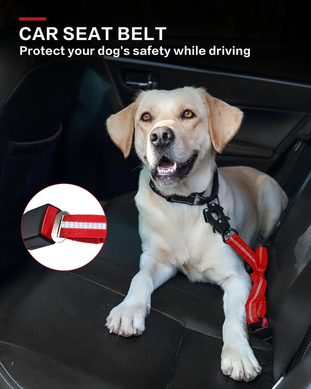 Sky Blue Tactical Dog Leash with Car Seatbelt