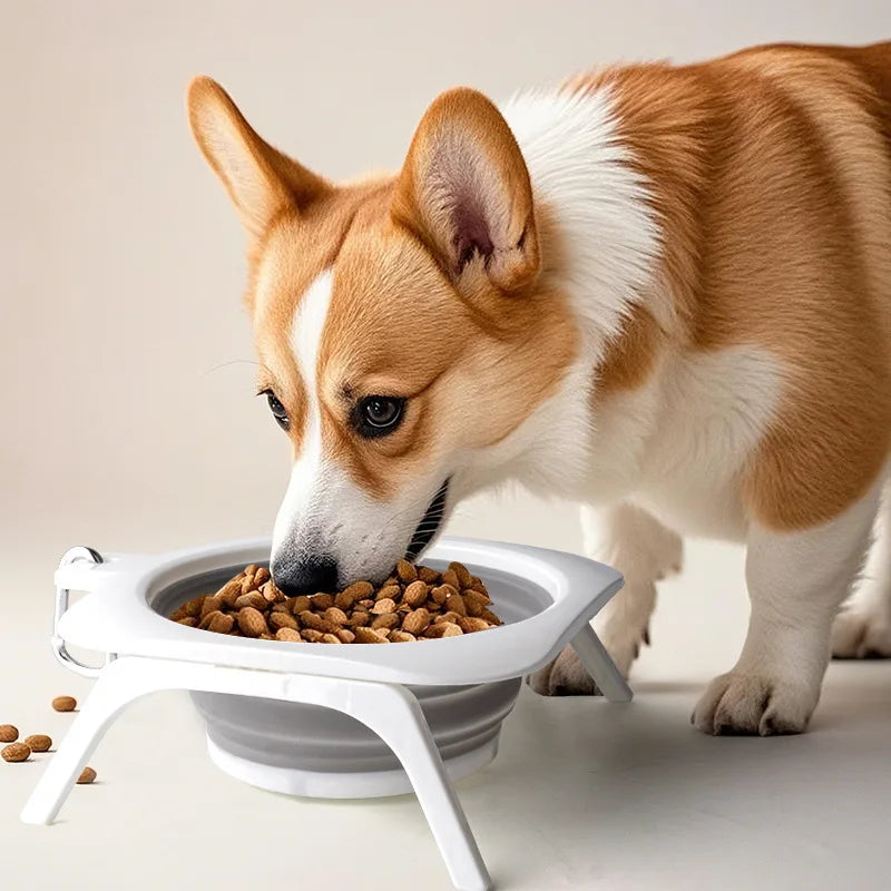 Foldable Single Dog Travel Bowl