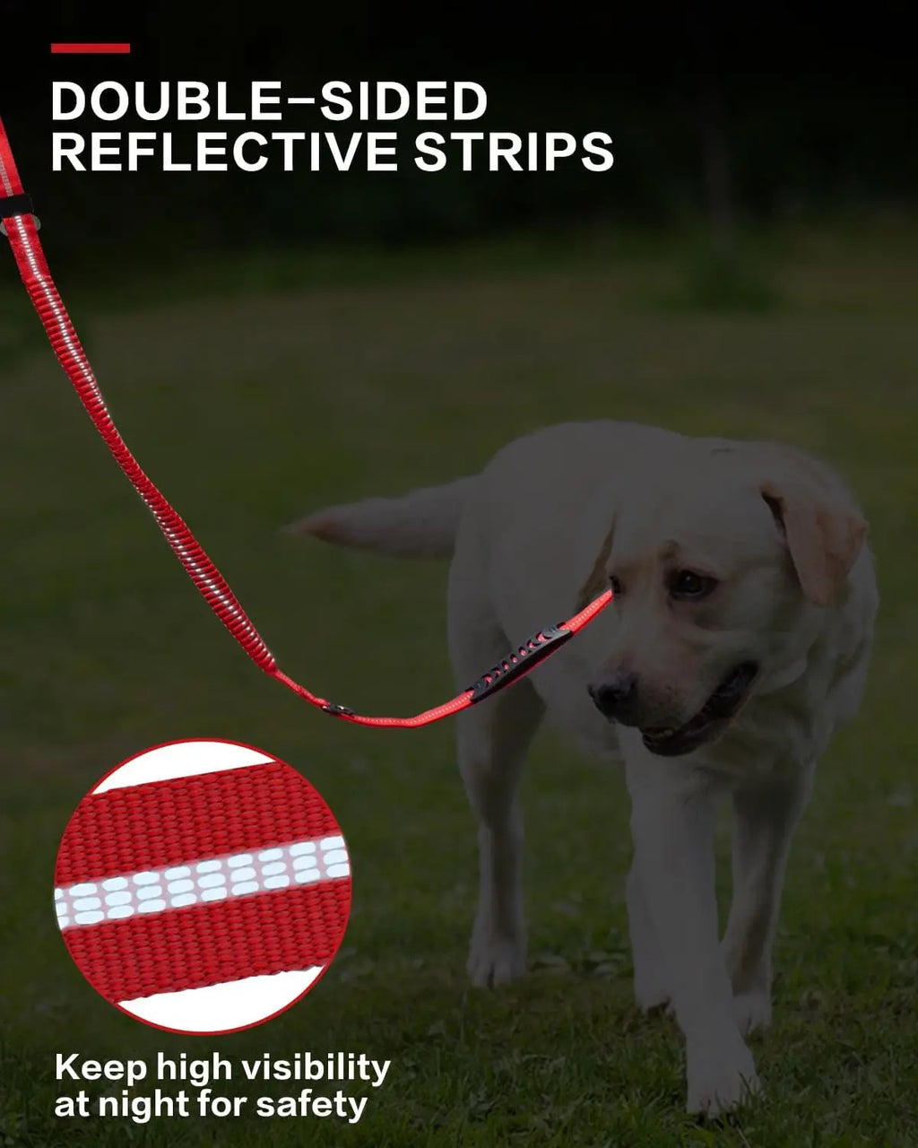 Sky Blue Tactical Dog Leash with Car Seatbelt