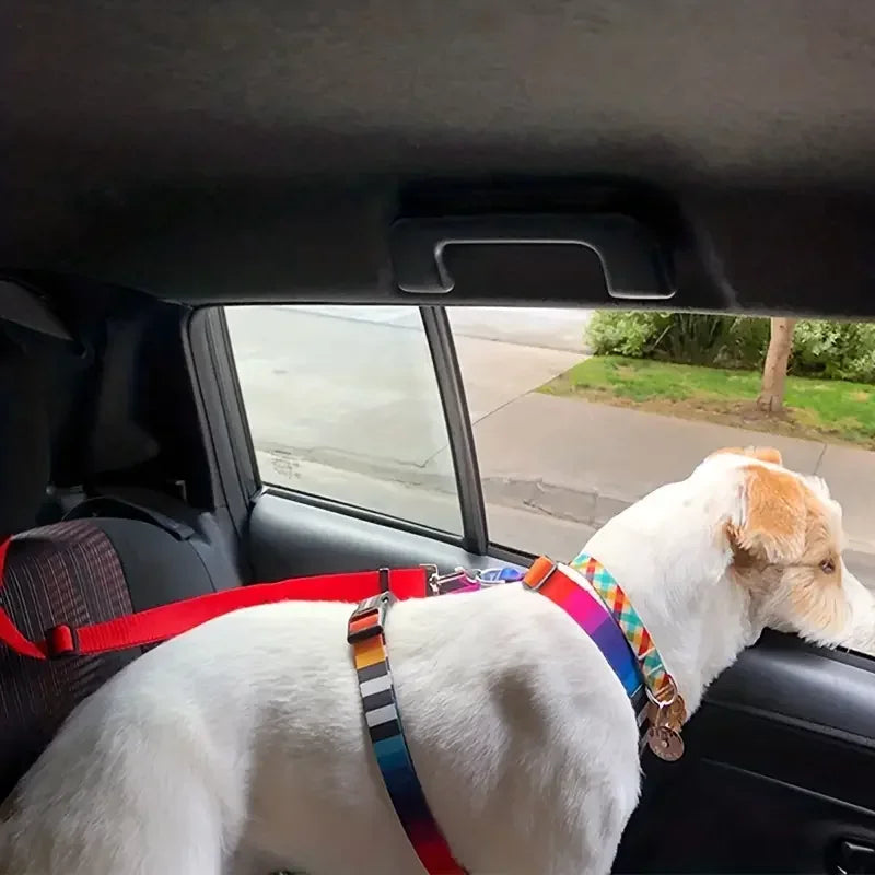 Sky Blue Dog Seat Belt Tether Adjustable Car Safety Leash