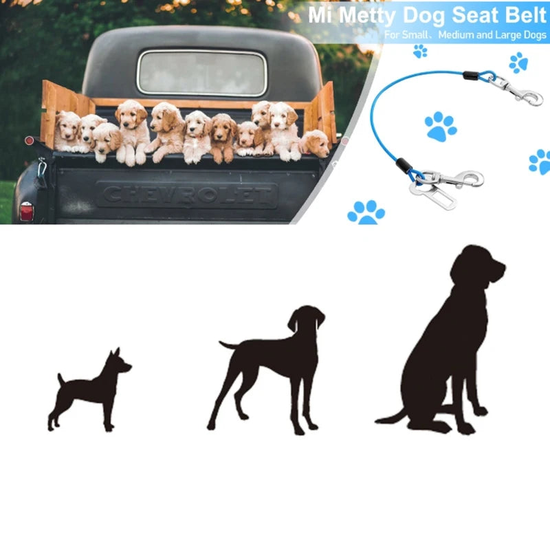 Universal Dog Seat Belt Tether for Cars