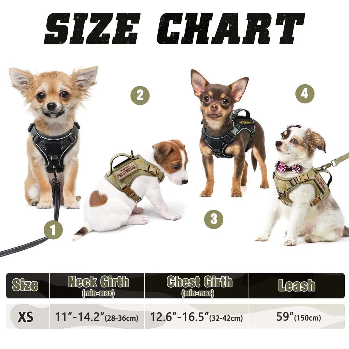 Black Tactical Dog Harness for Small Dogs with Leash